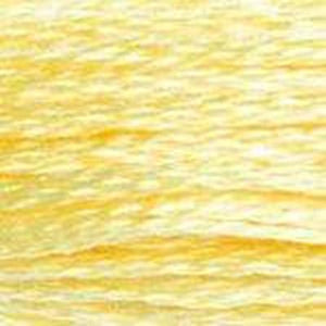 DMC Six Strand Embroidery Floss - Yellows 727 Primrose Yellow