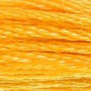 DMC Six Strand Embroidery Floss - Yellows 742 Light Tangerine