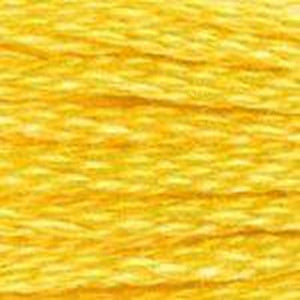 DMC Six Strand Embroidery Floss - Yellows 973 Daffodil Yellow